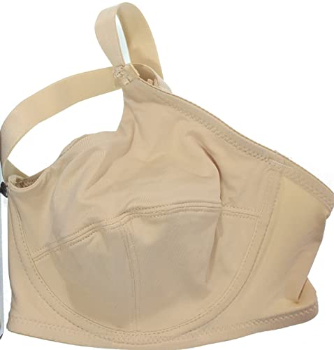 Aris Reggiseno Donna Monica Coppa C Microfibra con Ferretto Misura 6 Nudo